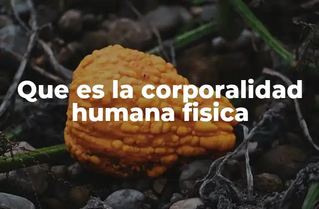Que es la Corporalidad Humana Fisica