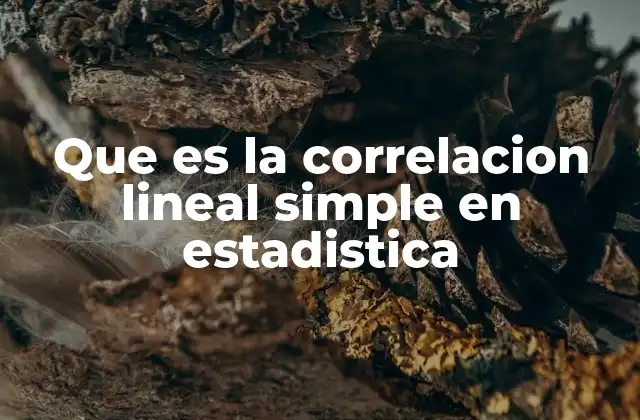 Que es la Correlacion Lineal Simple en Estadistica