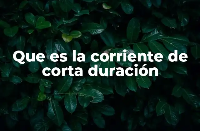 Que es la Corriente de Corta Duración 2 Fenómenos eléctricos temporales y su impacto en los circuitos
