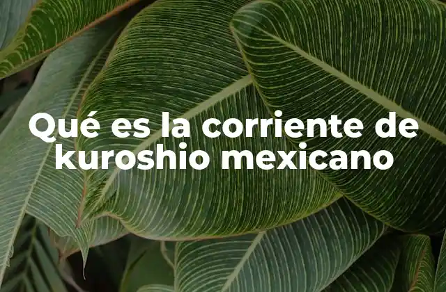 Qué es la Corriente de Kuroshio Mexicano