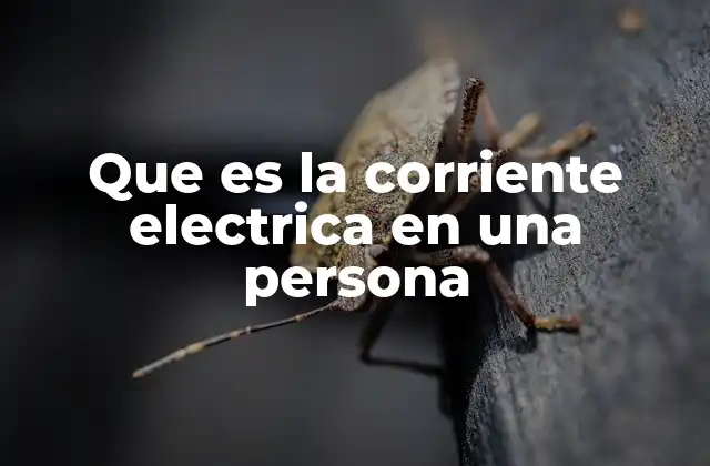 Que es la Corriente Electrica en una Persona 2 El cuerpo humano como conductor de electricidad
