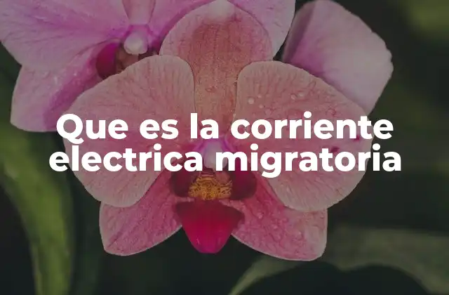 Que es la Corriente Electrica Migratoria