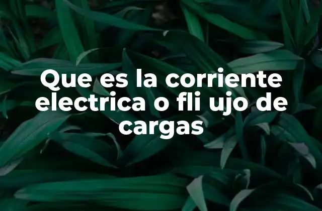 Que es la Corriente Electrica o Fli Ujo de Cargas