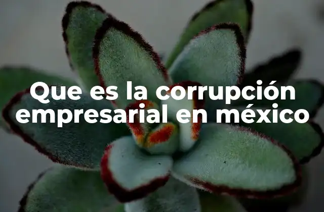 Que es la Corrupción Empresarial en México