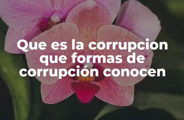 Que es la Corrupcion que Formas de Corrupción Conocen