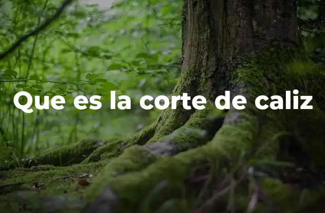 Que es la Corte de Caliz