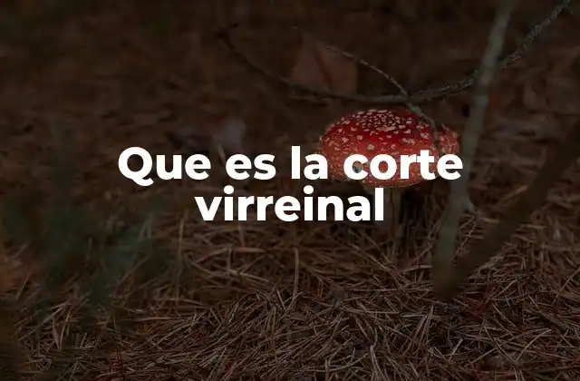 Que es la Corte Virreinal