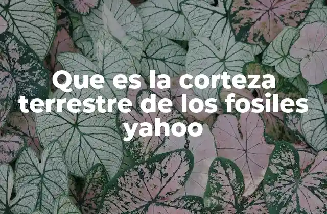 La importancia de los fósiles en la corteza terrestre
