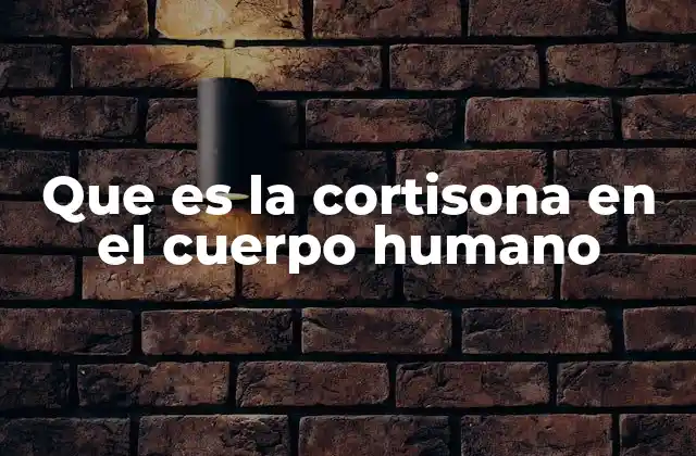 Que es la Cortisona en el Cuerpo Humano
