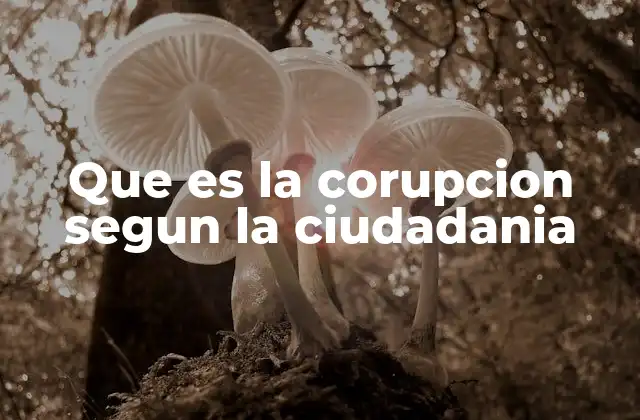 La voz ciudadana frente a la corrupción