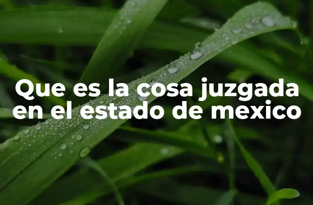 Que es la Cosa Juzgada en el Estado de Mexico