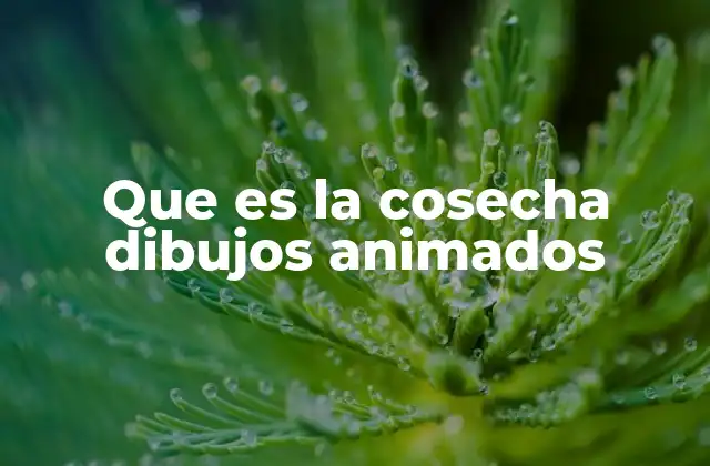 Que es la Cosecha Dibujos Animados