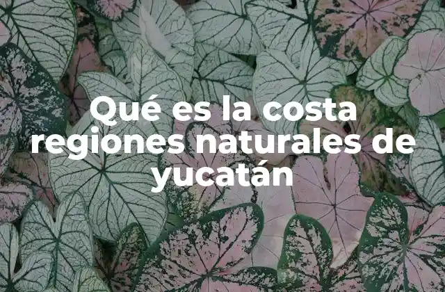 Qué es la Costa Regiones Naturales de Yucatán