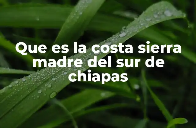 Que es la Costa Sierra Madre Del Sur de Chiapas
