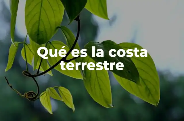 Qué es la Costa Terrestre
