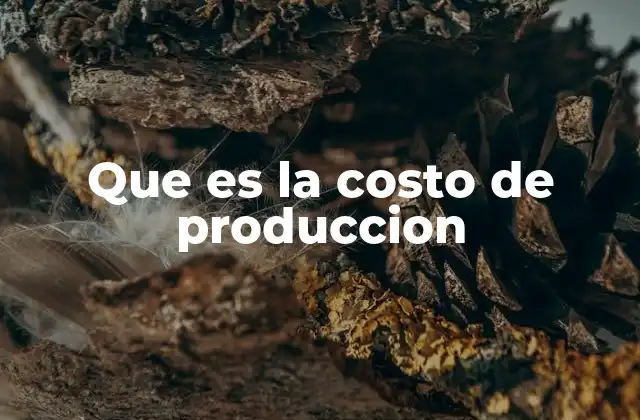 Que es la Costo de Produccion