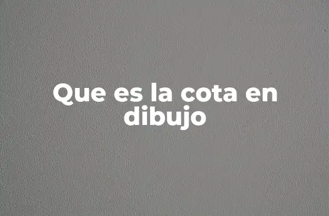 Que es la Cota en Dibujo