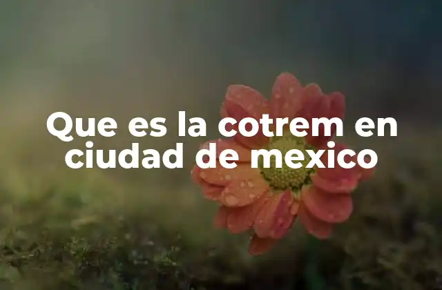 El rol de la COTREM en la movilidad del Valle de México