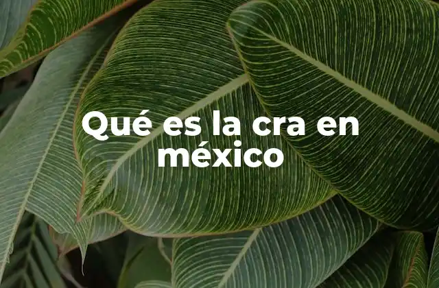Qué es la Cra en México