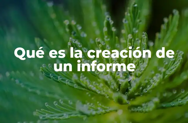 Qué es la Creación de un Informe