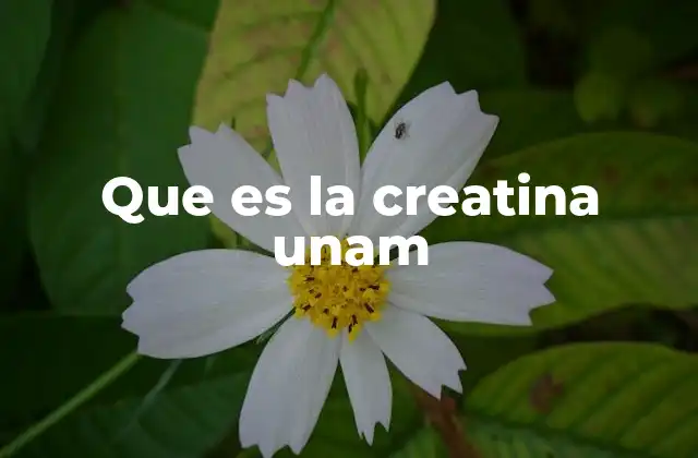 Que es la Creatina Unam