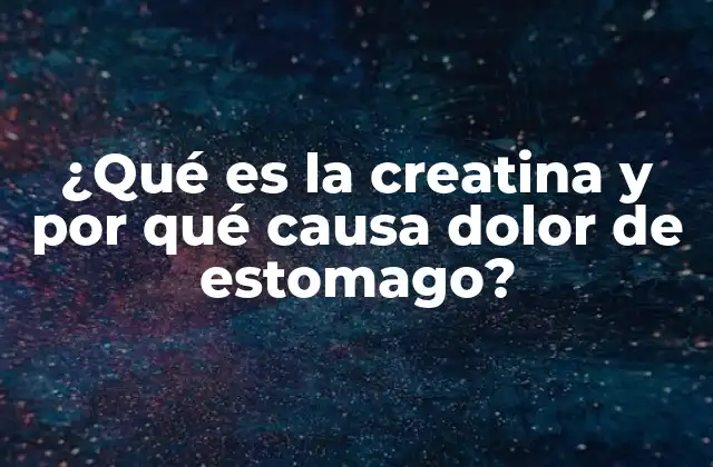¿qué es la Creatina y por Qué Causa Dolor de Estomago?