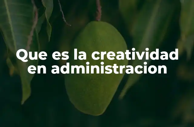 Que es la Creatividad en Administracion