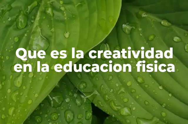 Que es la Creatividad en la Educacion Fisica