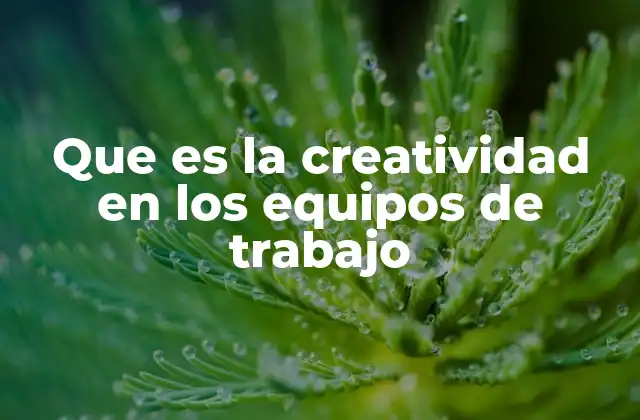 Cómo la creatividad impulsa la innovación en los equipos