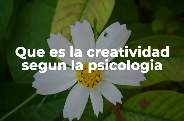 Que es la Creatividad Segun la Psicologia 2 La creatividad como proceso psicológico dinámico
