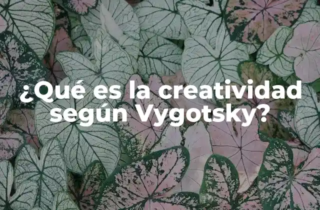 ¿qué es la Creatividad según Vygotsky?