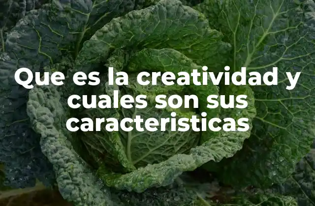 Que es la Creatividad y Cuales Son Sus Caracteristicas