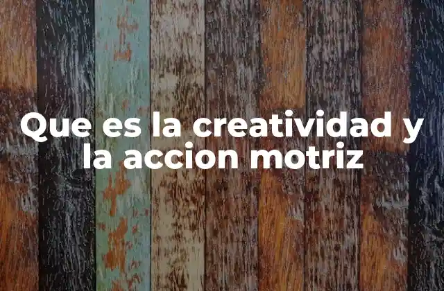 Que es la Creatividad y la Accion Motriz