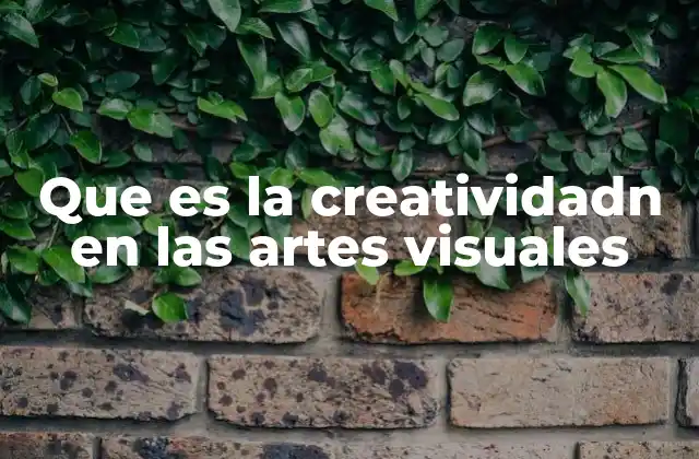Que es la Creatividadn en las Artes Visuales
