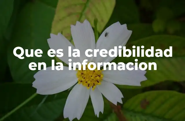Que es la Credibilidad en la Informacion 2 La importancia de la veracidad en el contenido informativo