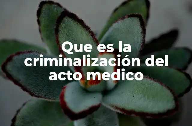 Que es la Criminalización Del Acto Medico