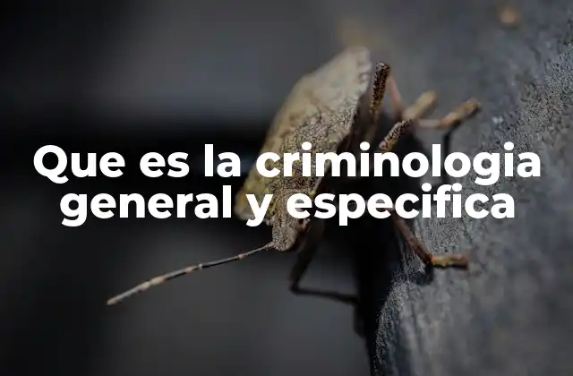 Que es la Criminologia General y Especifica 2 La base teórica de la criminología