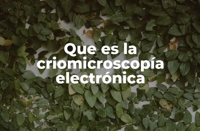 Que es la Criomicroscopía Electrónica