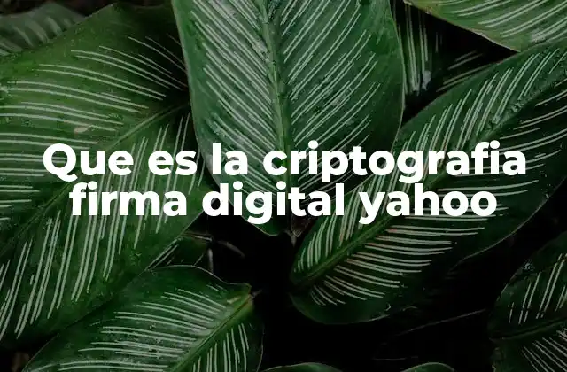 Cómo Yahoo protege la información de sus usuarios
