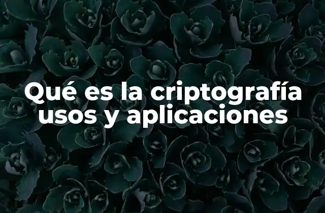 Qué es la Criptografía Usos y Aplicaciones