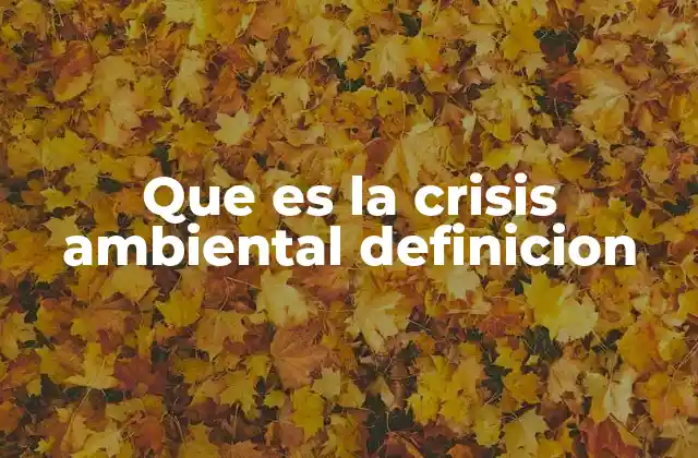 Que es la Crisis Ambiental Definicion