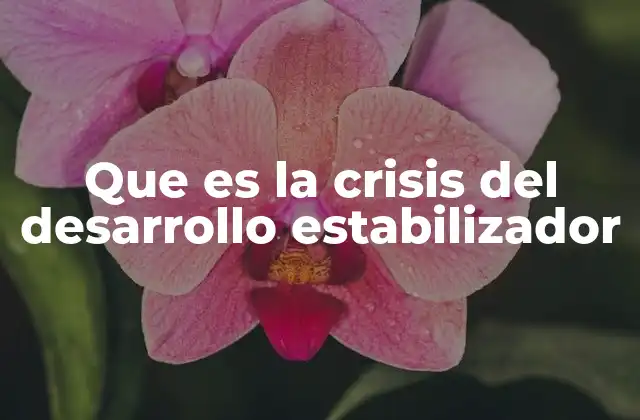 Que es la Crisis Del Desarrollo Estabilizador