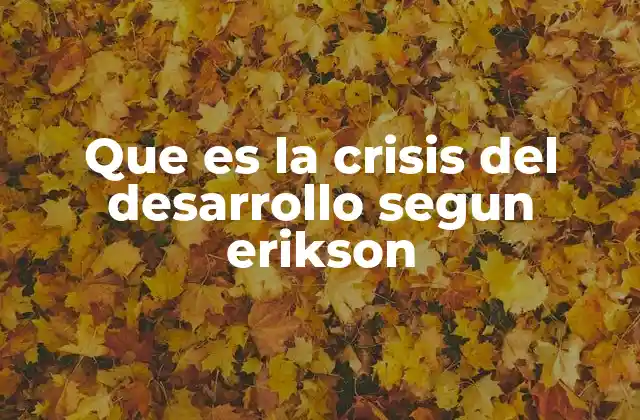 Que es la Crisis Del Desarrollo Segun Erikson
