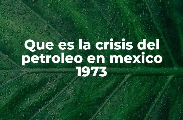 Que es la Crisis Del Petroleo en Mexico 1973