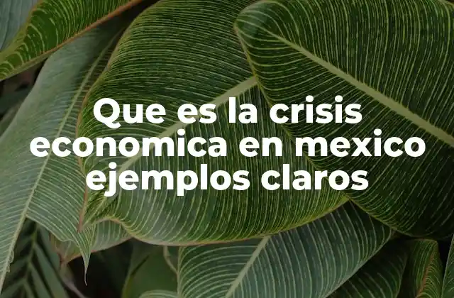 Que es la Crisis Economica en Mexico Ejemplos Claros