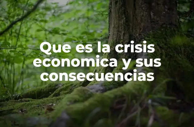 Que es la Crisis Economica y Sus Consecuencias 2 Factores que desencadenan una crisis económica