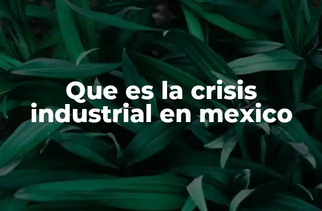 Que es la Crisis Industrial en Mexico