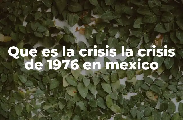 Que es la Crisis la Crisis de 1976 en Mexico 2 La caída del petróleo y sus consecuencias en México