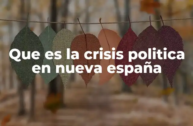 Que es la Crisis Politica en Nueva España