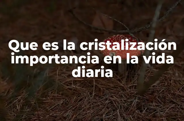 Que es la Cristalización Importancia en la Vida Diaria